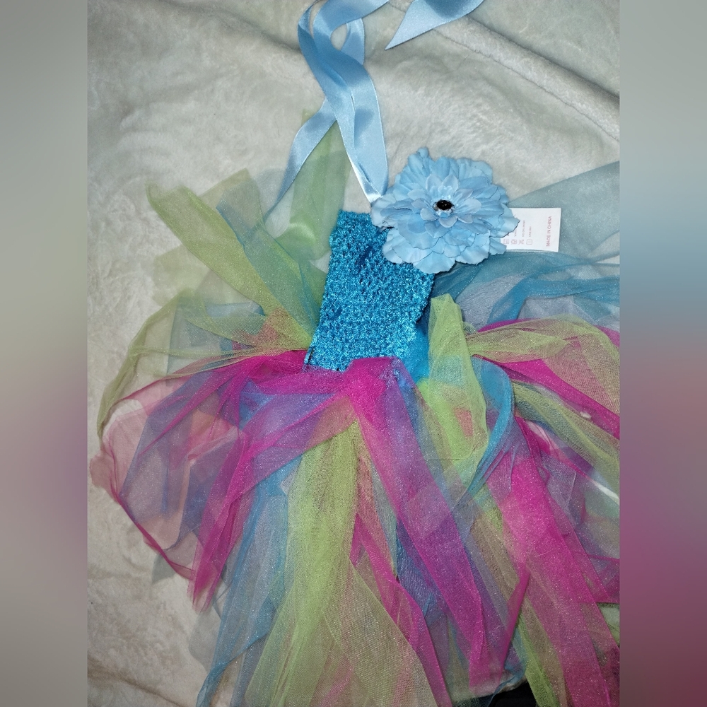 Colorful Tulle Dress with Blue Flower